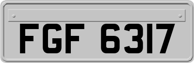 FGF6317
