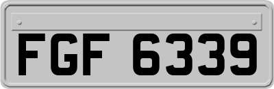 FGF6339
