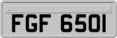 FGF6501