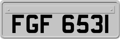 FGF6531