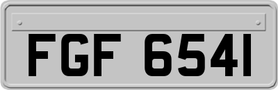 FGF6541