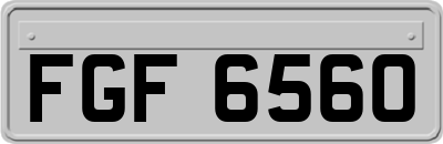 FGF6560
