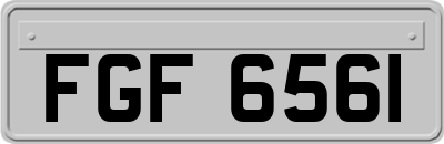 FGF6561