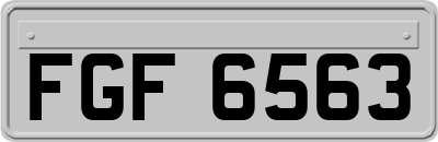 FGF6563