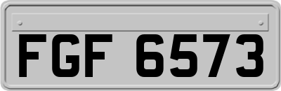 FGF6573