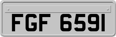 FGF6591