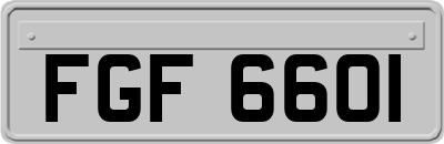 FGF6601