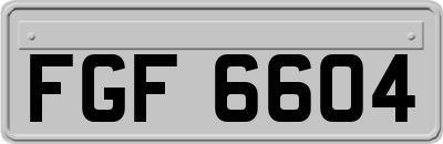 FGF6604