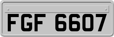 FGF6607
