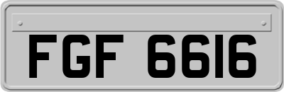 FGF6616