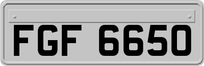 FGF6650
