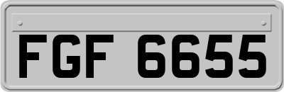 FGF6655