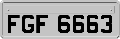 FGF6663