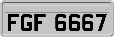 FGF6667