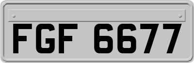 FGF6677
