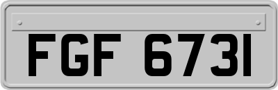 FGF6731