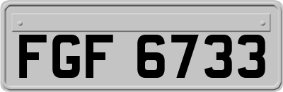 FGF6733