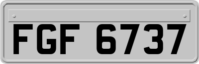 FGF6737