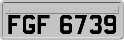 FGF6739