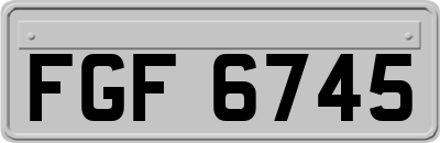 FGF6745