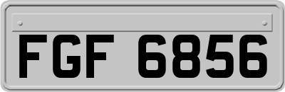 FGF6856