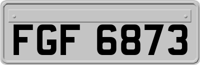 FGF6873