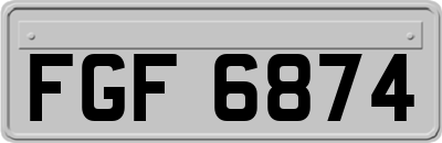 FGF6874