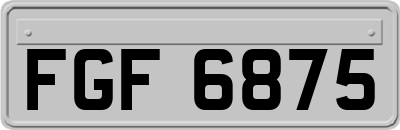 FGF6875
