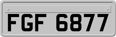 FGF6877