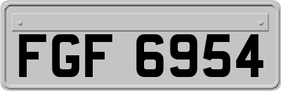 FGF6954
