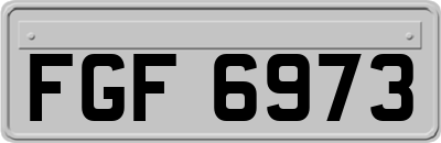 FGF6973
