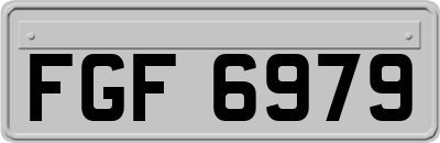FGF6979