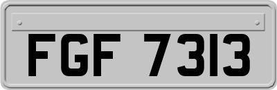 FGF7313