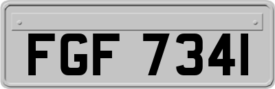 FGF7341