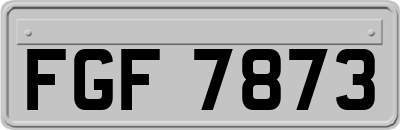 FGF7873