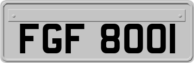 FGF8001