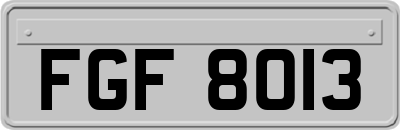 FGF8013