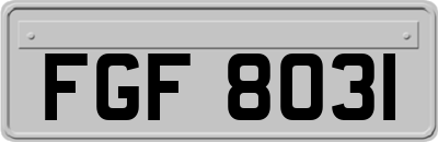 FGF8031