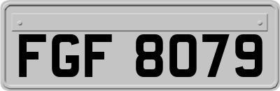 FGF8079