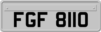 FGF8110