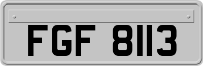 FGF8113
