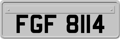 FGF8114