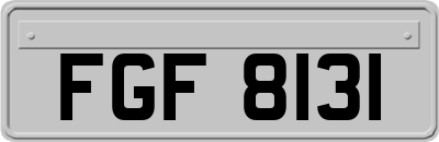 FGF8131