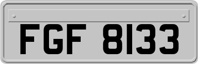 FGF8133