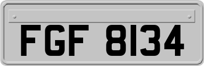 FGF8134