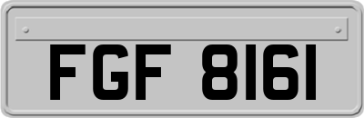 FGF8161