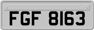 FGF8163