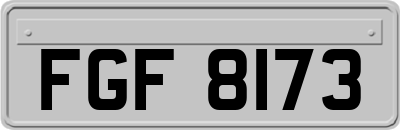 FGF8173