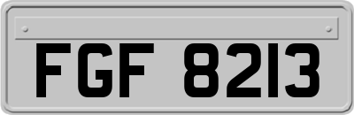 FGF8213