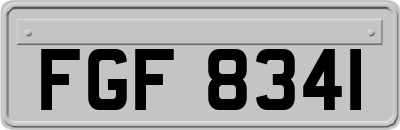 FGF8341
